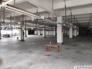 新塘新出独院制衣厂带环保有市政排污管道7800平方