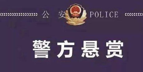 12岁女孩被猥亵后杀害,凶手被父亲包庇潜逃,8年后终落网