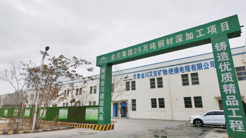 金川集团在建项目按加速键 绘就热气腾腾 春忙图